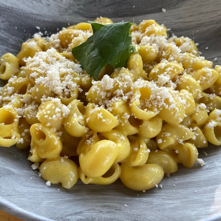 photo of Vegan Inc. Puerto Vallarta Mac N Cheese shared by @majesticvegan on  26 May 2021 - review