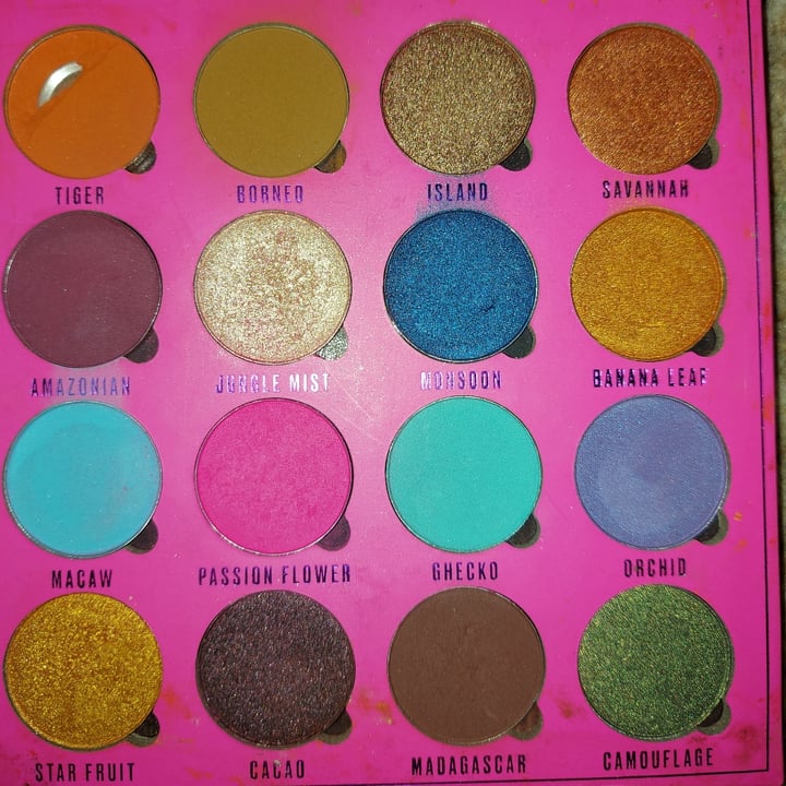 photo of Makeup obsession Neon Jungle Palette shared by @michellefarmer on  29 Jun 2020 - review
