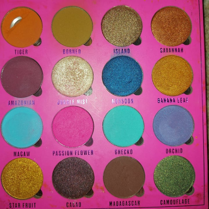 review photo of Makeup obsession Neon Jungle Palette shared by @michellefarmer on 29 Jun 2020 - review