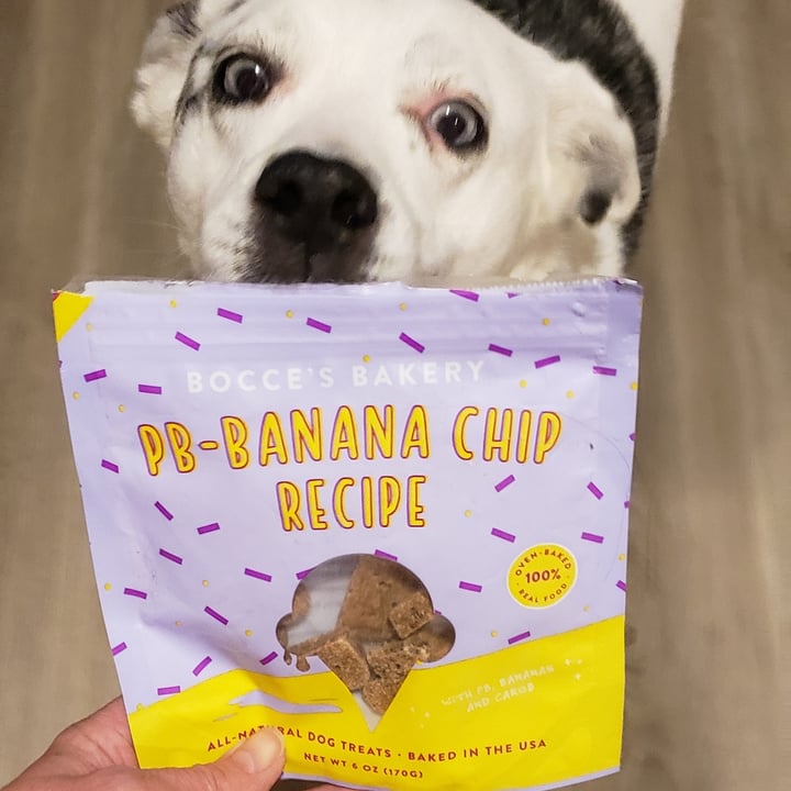 photo of Bocce's Bakery PB - Banana chip shared by @ambularfortheanimals on  27 Dec 2021 - review