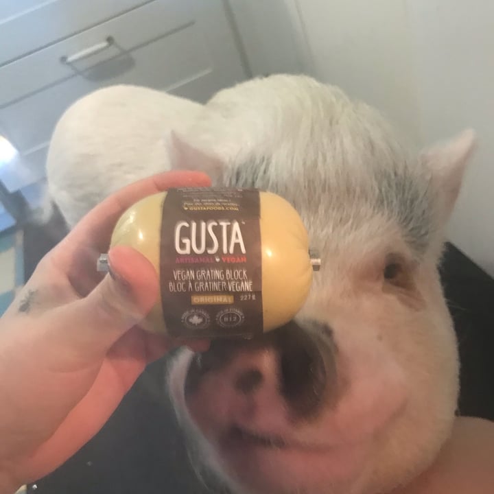 photo of Gusta vegan grating block original shared by @antispeciste on  12 Dec 2021 - review