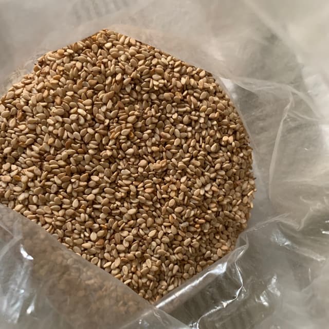 「Sesame Seed Bagel」の料理の写真