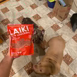 Laiki