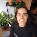 csanjosbranco @csanjosbranco profile image