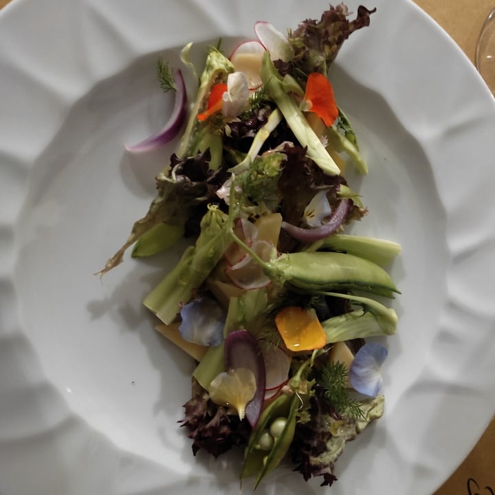review photo of Antica Osteria Da Zorro Insalata vegana shared by @diana17 on 15 Apr 2022 - review