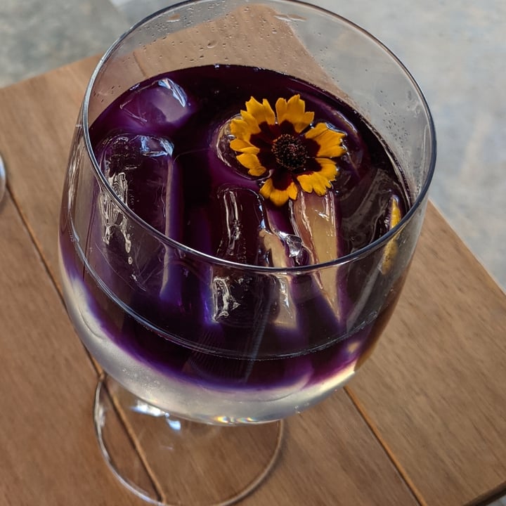 review photo of Camelia Ododo Restaurante - Cafe & Bar Organico Gil tônica shared by @biagasques on 30 Jul 2021 - review