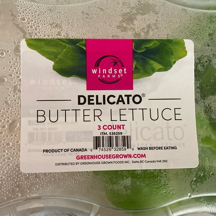 photo of Delicato Butter Lettuce shared by @lynr on  22 May 2022 - review