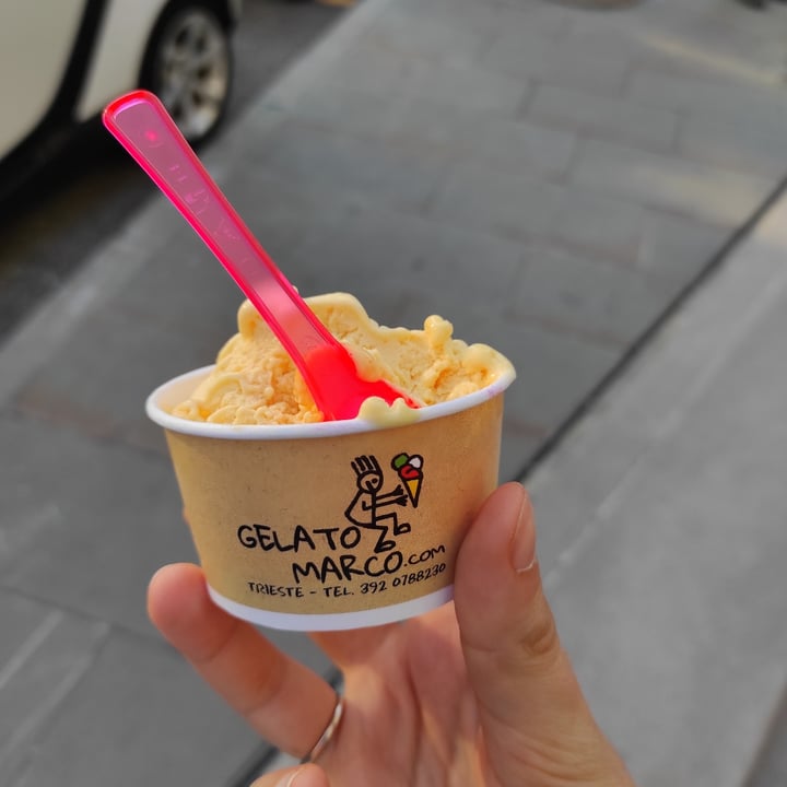 photo of Gelato Marco Pesca Vegano shared by @martyromy on  13 May 2022 - review