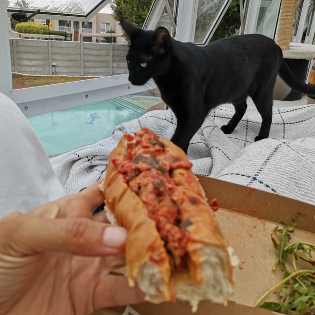 Photo of the dish “Hot Dog”