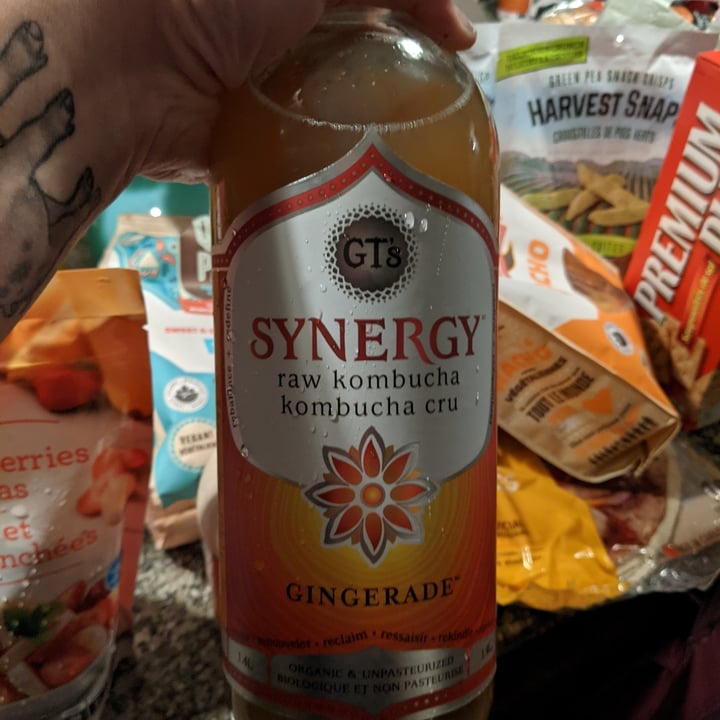 photo of GT’s Living Foods Gingerade shared by @mdsingleton on  17 Nov 2021 - review