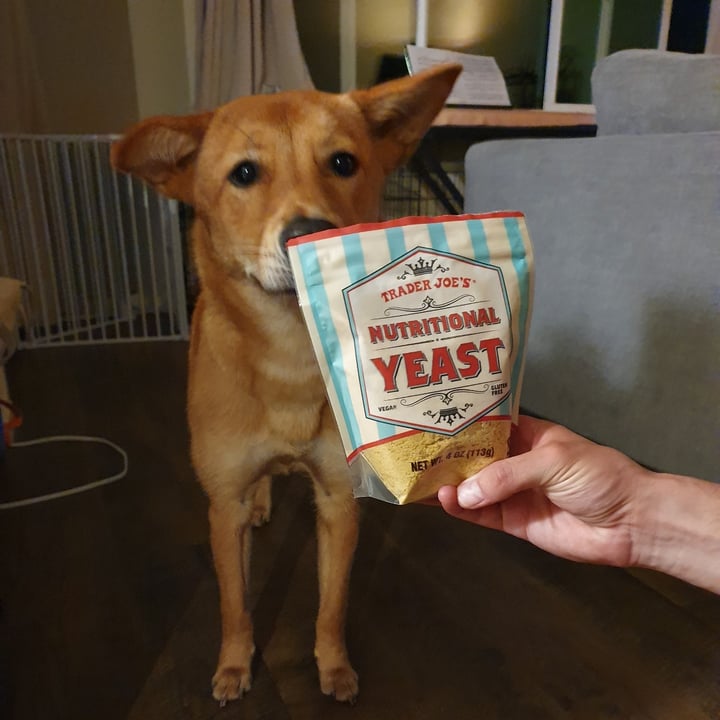 photo of Trader Joe's Nutritional Yeast shared by @paniwilson on  23 Jun 2021 - review