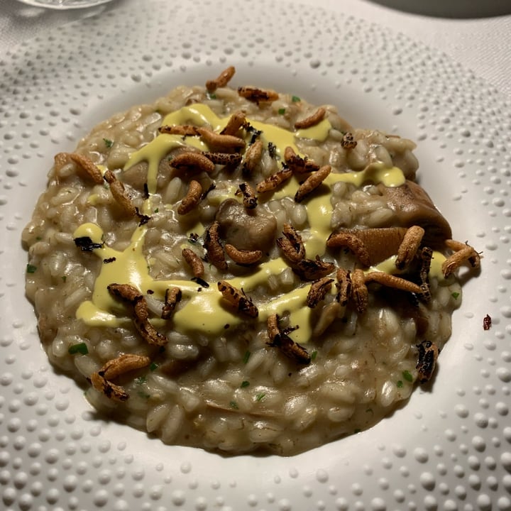 photo of Mater Terrae Vegan Testing Menu shared by @sentirvegan on  23 Sep 2022 - review