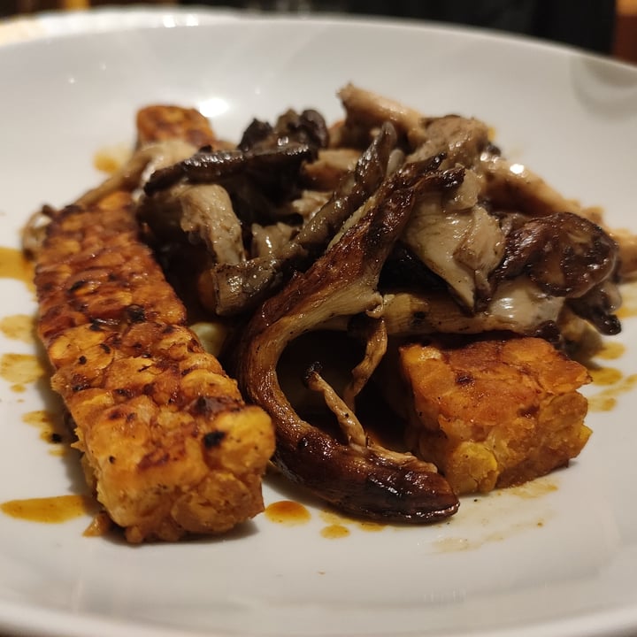 photo of Fonderia Gastro Bistrot Tempeh di ceci e lenticchie shared by @mostravagante on  16 May 2022 - review