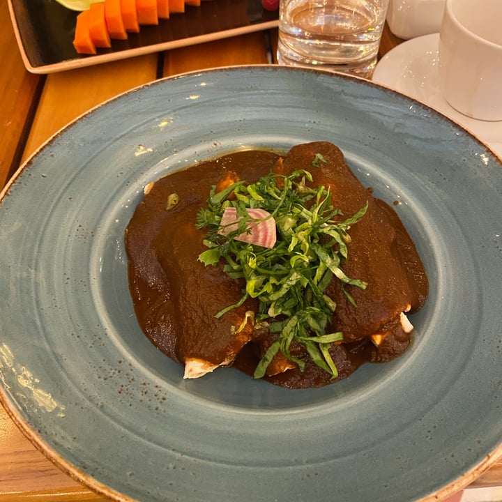 photo of Zanaya Enchiladas con cottage shared by @amaia2021 on  01 Aug 2021 - review