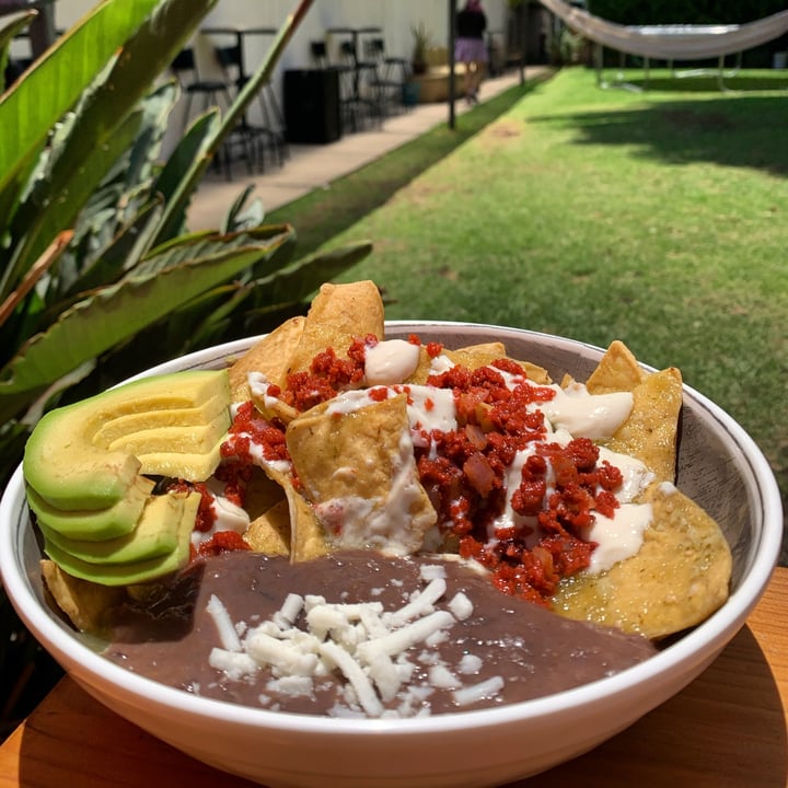 photo of Pulsus Chilaquiles shared by @scarlettvegana on  14 Apr 2021 - review