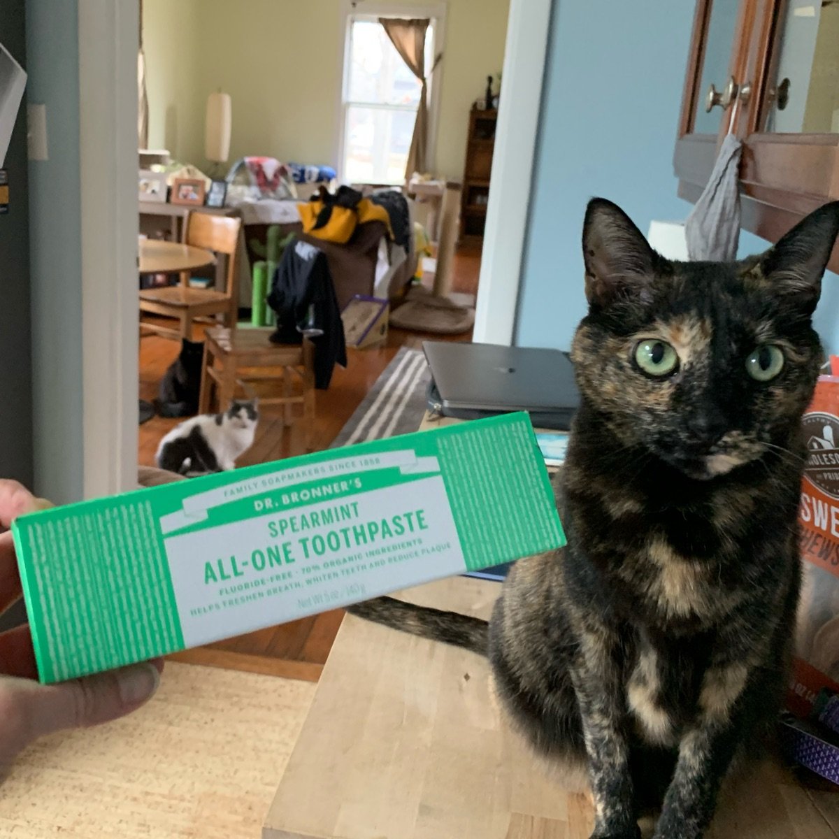 Dr. Bronner's Toothpaste spearmint Reviews abillion