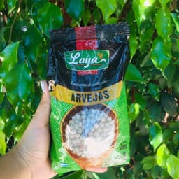 Laya