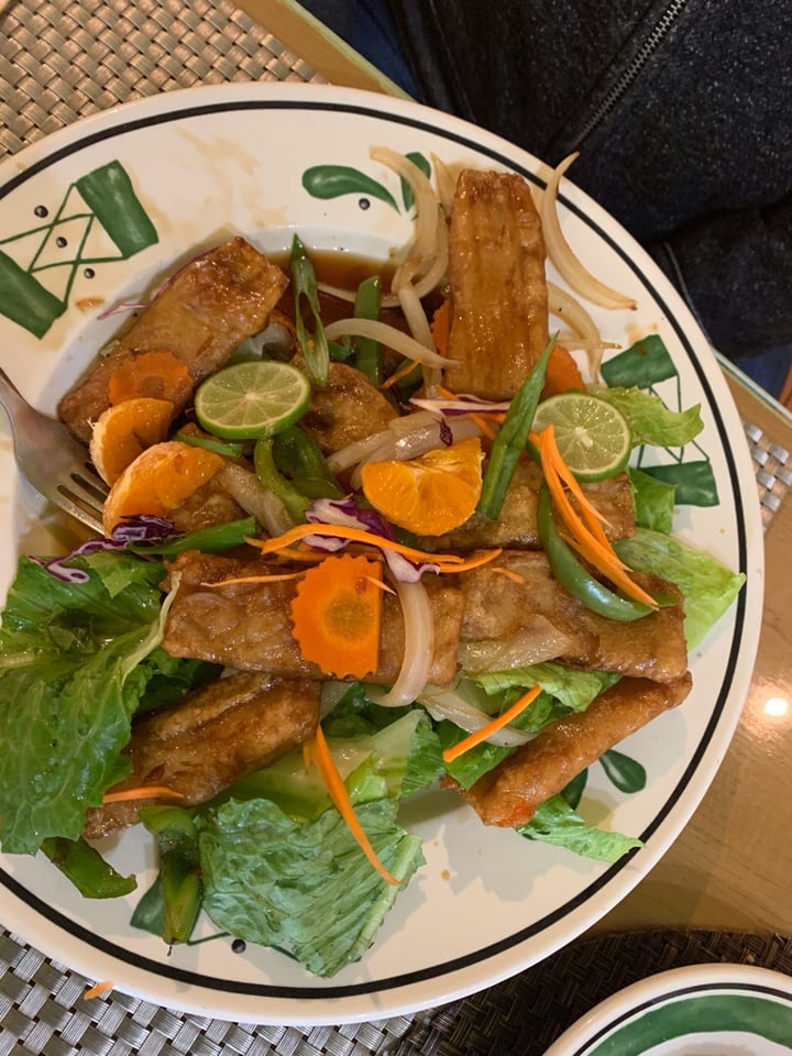 photo of Thai Vegan (Closed) Orange Chicken shared by @paloka23 on  09 Oct 2019 - review