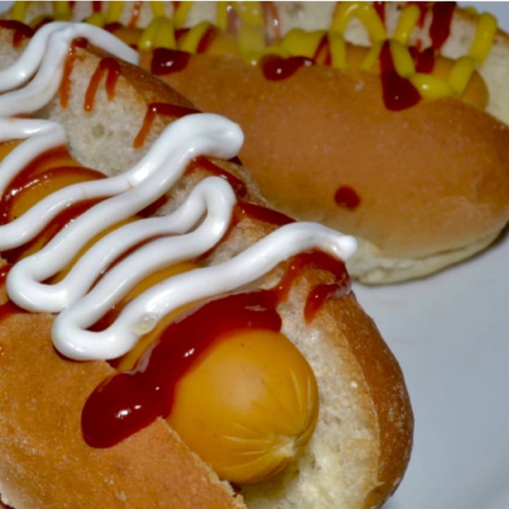 photo of Vegetalex Hot dogs 100% Vegetal shared by @florecer on  01 Jun 2022 - review