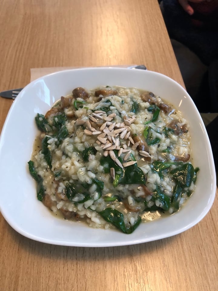 photo of Alge Restaurant Heidelberg Daily Dish - Mushroom Risotto shared by @jaga94 on  23 Nov 2019 - review