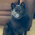 sparky864 @sparky864 profile image