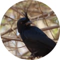 fxk @fxk profile image