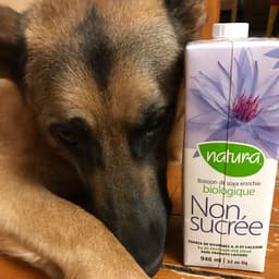 Natura