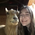sagemurr @sagemurr profile image