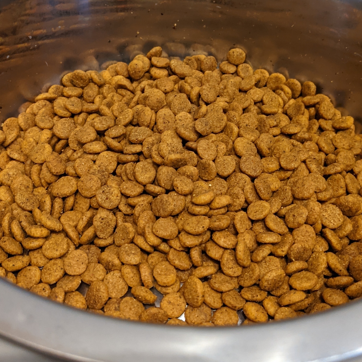 Evolution Diet Pet Food Gourmet Fondue Cheese Burger Flavor Kibble