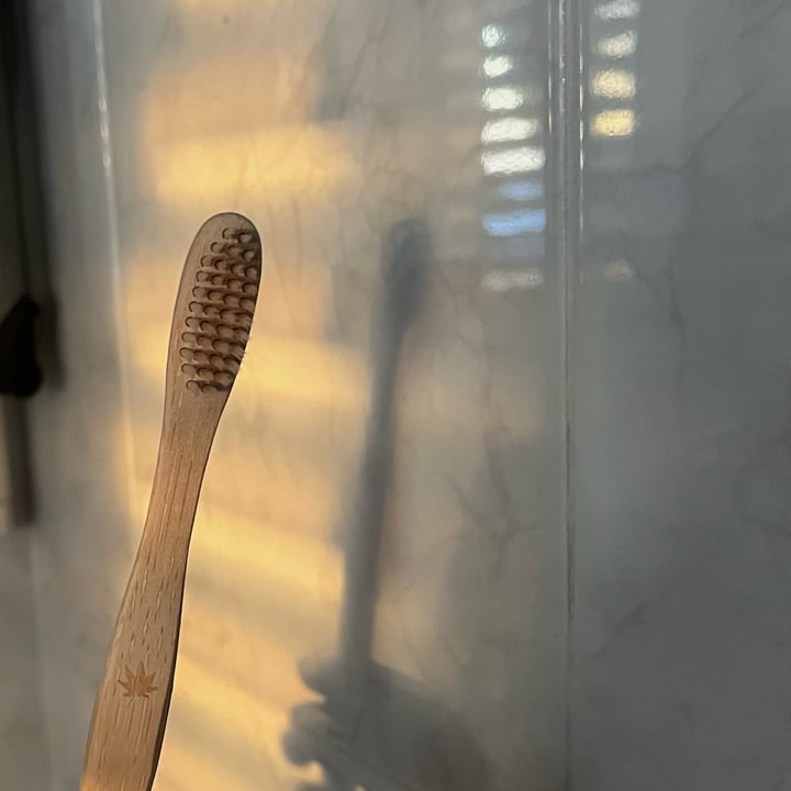 photo of Beau-Pro Bamboo Toothbrush shared by @emanuelarollo on  28 Sep 2022 - review
