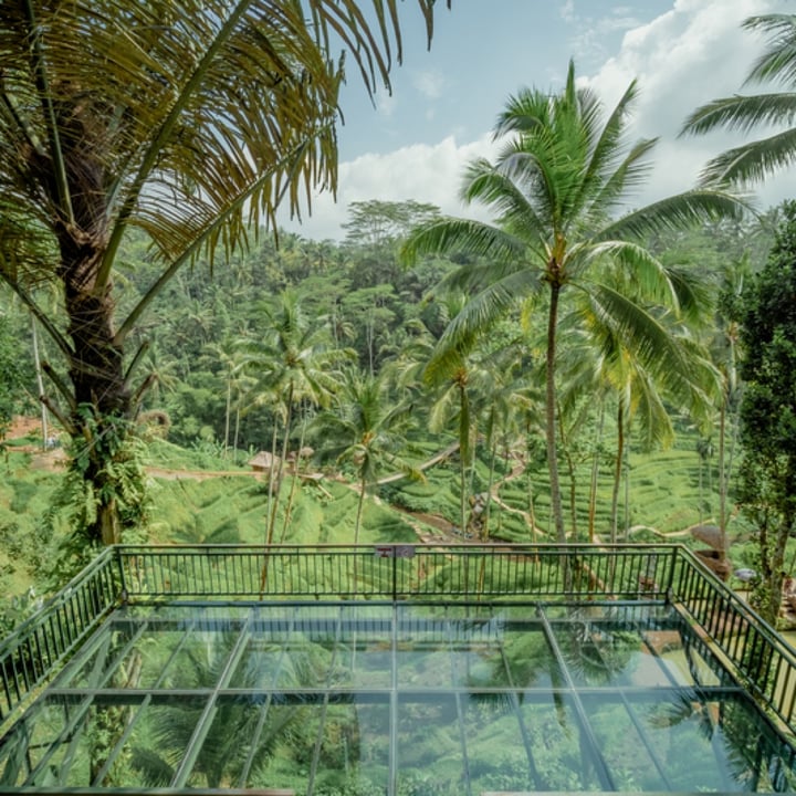review photo of Cretya Ubud Coffee And Tea Taster shared by @namany on 06 Jun 2022 - review