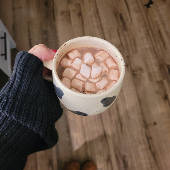 review photo of Dandies Dandies All Natural Mini Vanilla Marshmallows shared by @jamlupia on 17 Mar 2022 - review