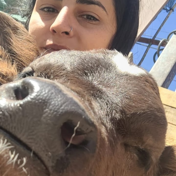 review photo shared by @vforvegan on 25 Aug 2022 - post