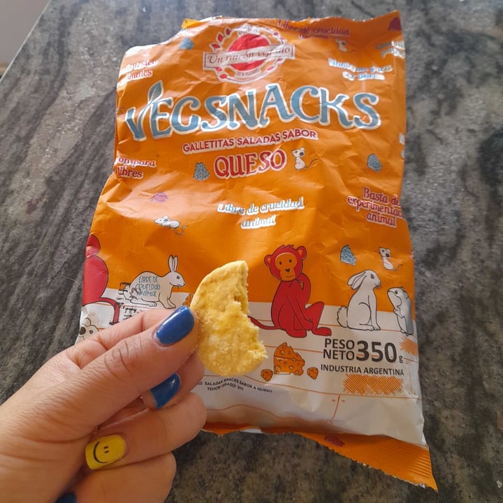 photo of Un Rincón Vegano Vegsnacks  Galletas  Saladas sabor Queso shared by @karenramos on  11 Sep 2022 - review