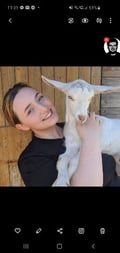 puredeadvegan @puredeadvegan profile image