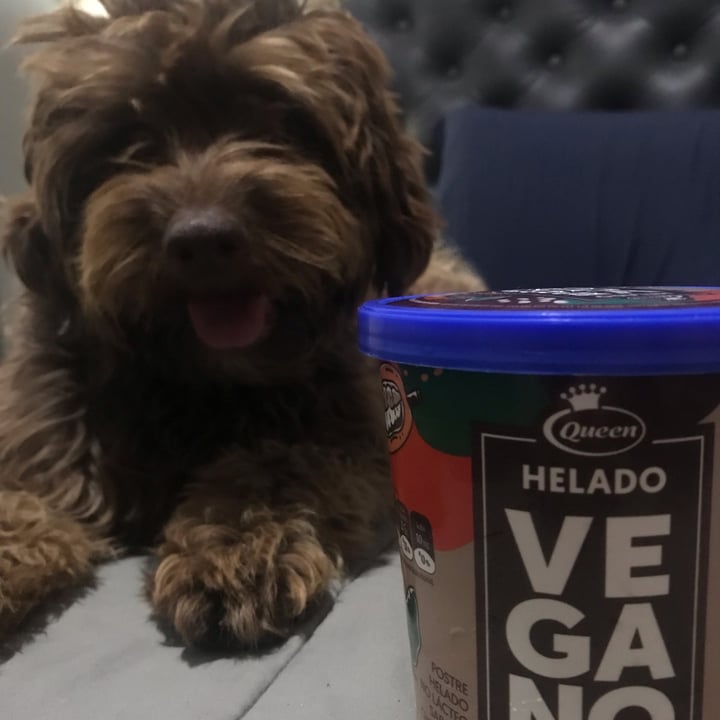 photo of Queen helado chocolate shared by @melgorski on  12 Dec 2021 - review