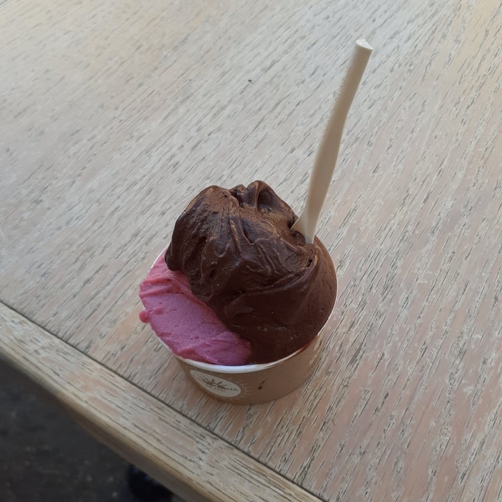 photo of Gelateria La Romana Cioccolato Fondente E Mirtillo Nero, Sambuca E Limone shared by @ava997 on  20 Oct 2022 - review