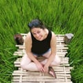 vegandutchie @vegandutchie profile image