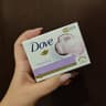 Dove