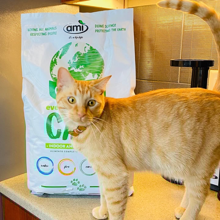review photo of Amì Ami Cat shared by @beckyyy on 08 Jun 2021 - review