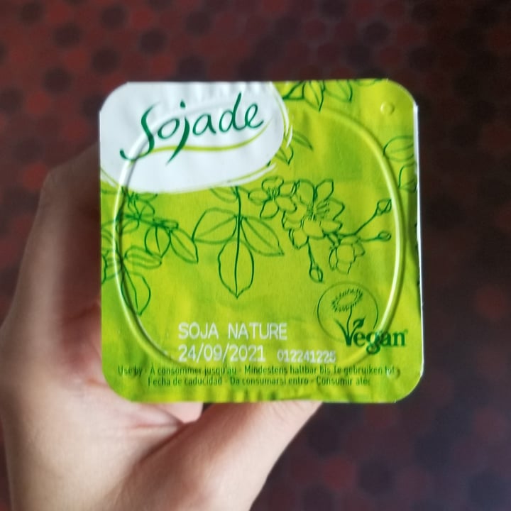 review photo of Sojade So Soja! Natural Soya Yogurt alternative (small) shared by @lance-lot on 13 Sep 2021 - review