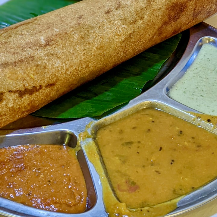 photo of Gokul Vegetarian Restaurant Paper Masala Dosa shared by @xinru-t on  28 Jul 2022 - review