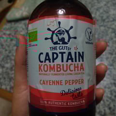 The Gutsy Captain