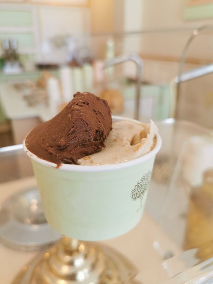 photo of Moro Gelato Chocolate and Peanut Butter Ice Cream shared by @therush on  12 Jan 2020 - review