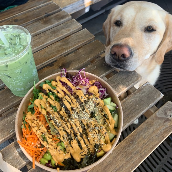 photo of Buddha-Full Lonsdale Paradise Poke Bowl shared by @jjosiespence on  16 Aug 2022 - review