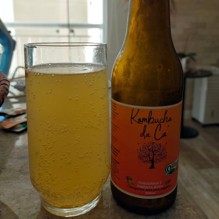 photo of Kombucha da Cá Tangerina E Pimenta Rosa shared by @izadora on  25 May 2022 - review