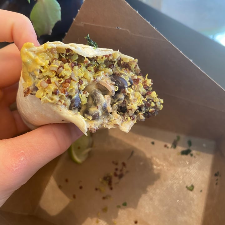 review photo of Green Cup Café Southwest Wrap shared by @earthlingab on 23 Feb 2022 - review
