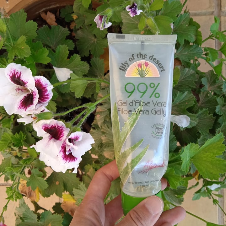 photo of Lily of the Desert Aloe Vera Gel shared by @dejalacorrer on  02 Jun 2022 - review