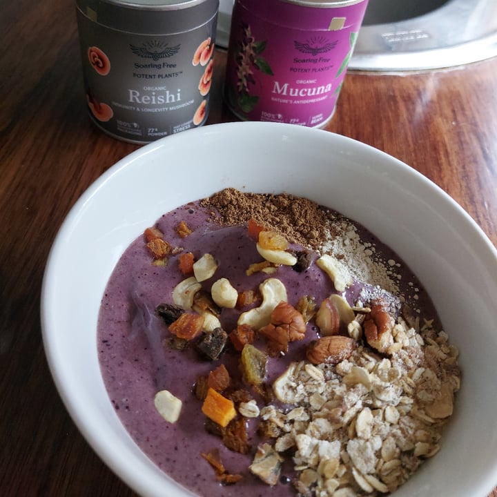 review photo of Soaring Free Superfoods Reishi shared by @lizadewet on 02 Mar 2022 - review