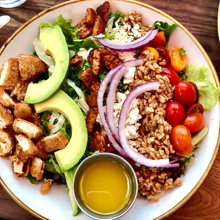 photo of Fresh on Front Cobb Salad shared by @hannahsotropa on  12 Dec 2020 - review